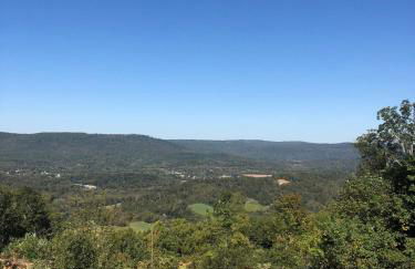 Harper Tree Top - Foto 4