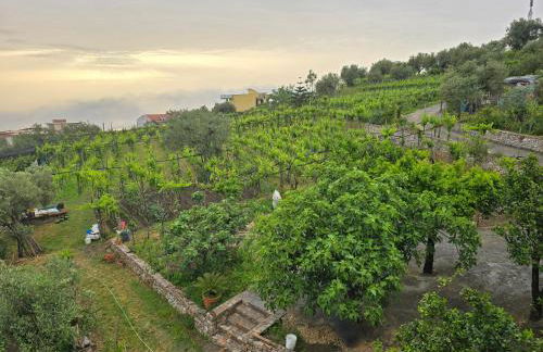 N'haidea - AgriFarm e B&B - Foto 25