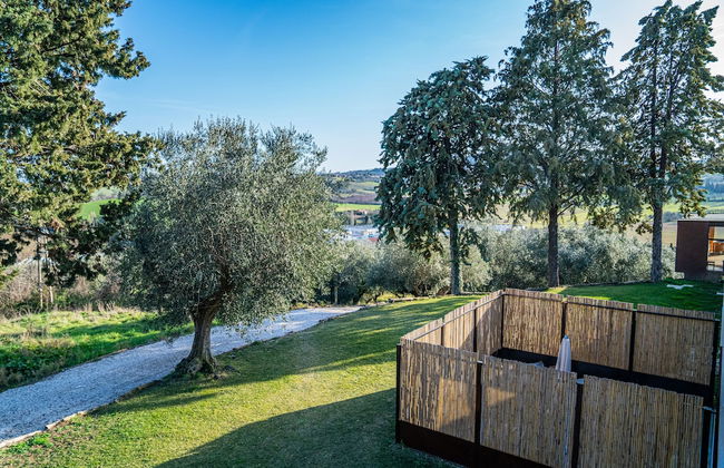 Terra di Gradara - Foto 62