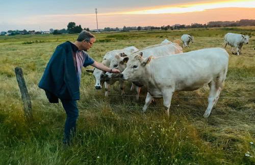 SeeLund - Meeresrauschen lauschen - ruhiges sonniges Apartment mit Garten und Terrasse nahe Strand und Ostsee - Foto 40