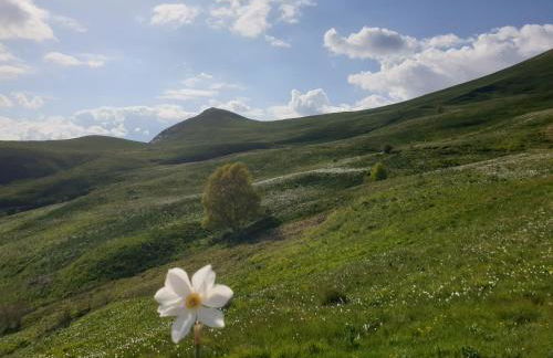 Appartement à la montagne - Photo 25