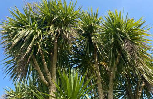 The DeerView Lodge - Foto 30