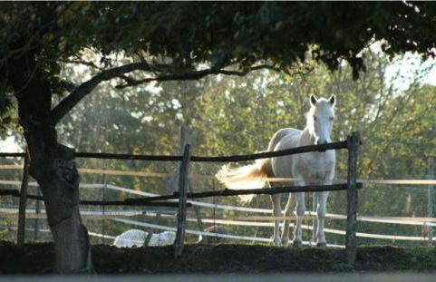 Agriturismo Poggiolo - Foto 61