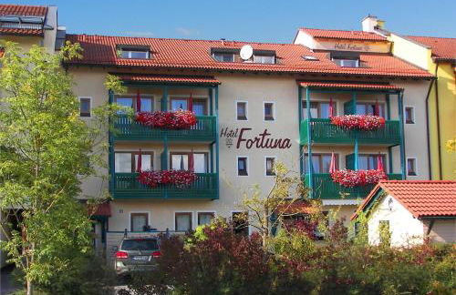 Hotel Fortuna - Foto 49