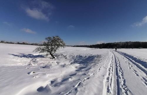 Old parish barn - Photo 24