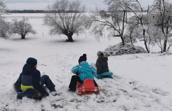 Urlaub im Neuseenland - Foto 36