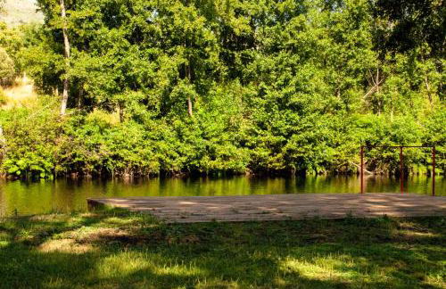 Quintinha Viçosa - Foto 69