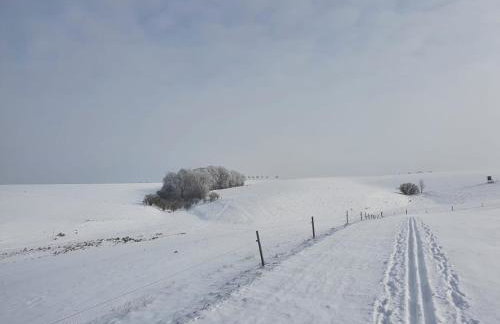 Ferienwohnung Rochlitzer Berg Blick - Foto 16
