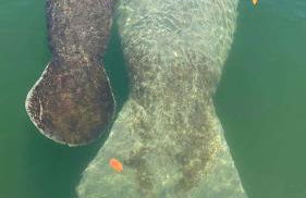 Andros - Spacious 2x2 Waterfront Condo - Photo 28