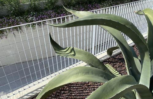 Attico Fronte Mare Residenza Matilde - Photo 56