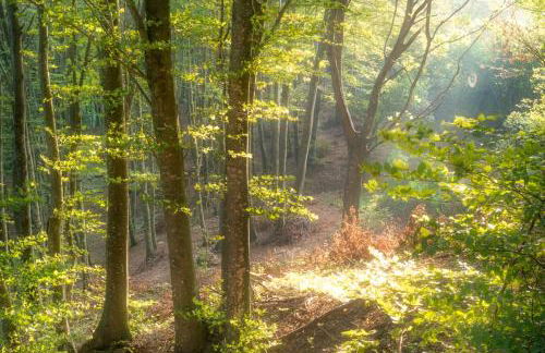 La casa sul ponte - Foto 10