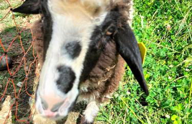 Sunset Valley - A Tuscan Experience - Foto 59