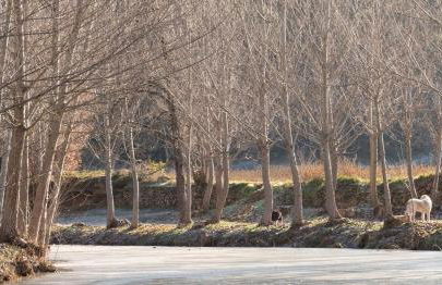 La Vila Argençola, casa rural a la Catalunya Central - Foto 53