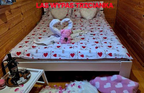 Noclegi "LAS WYPAS" Trzcianka - Foto 71