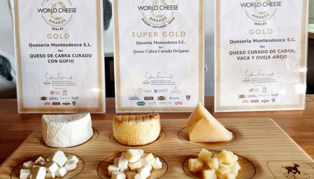 Taste award-winning cheeses