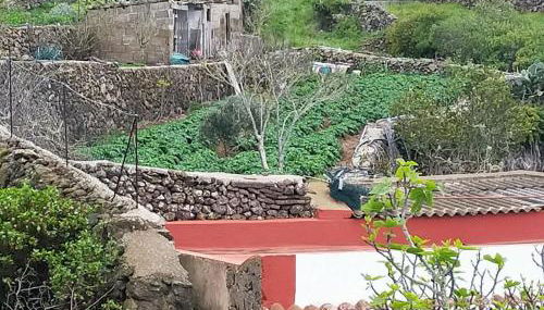 Casa Omaira Erese - Foto 3