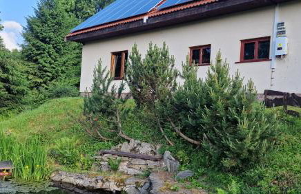 Jaworowy Stok z widokiem na góry i ogrodem - Foto 12