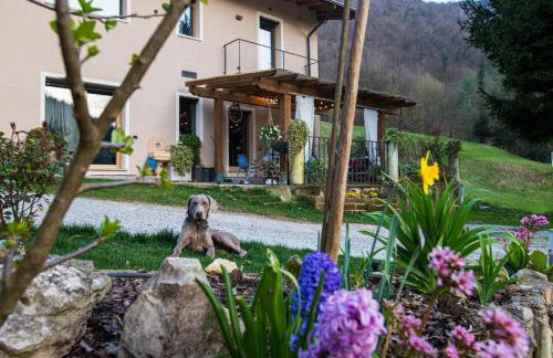 Cascina Canale - Foto 30