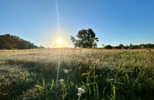 Balkon-Studio im Hotel Reindahls - Foto 13