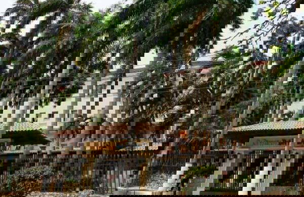 Tour of El Prado Neighborhood - Foto 2