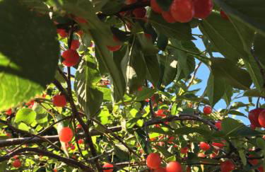 Agriturismo Sant'Agata - Foto 74