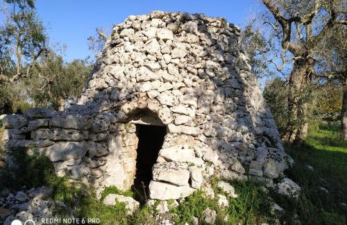 Casale del Forno - Foto 80