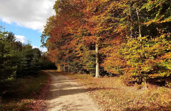 6 Person Holiday Home in Karrebaeksminde - Foto 16