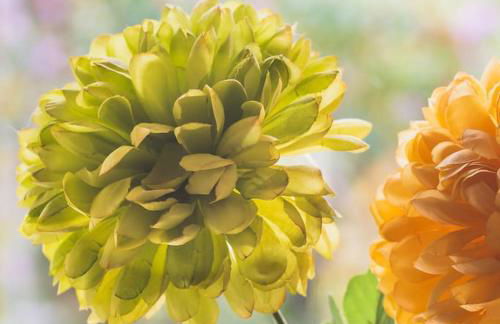 #06 Riverside Retreat Near the NEC fast WiFi - Foto 14