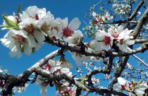 Villa Rural Campillo de Arenas - Foto 57