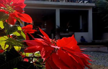 Recanto do Sossego - Foto 35