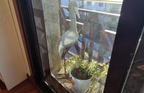 Apartamento para 4 con Patio Privado - Foto 32