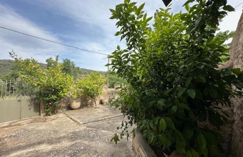 Πυργοσπιτο Χαντζακου - Foto 29