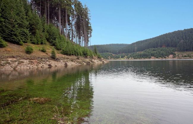 Cozy Apartment Near Trails - Foto 30