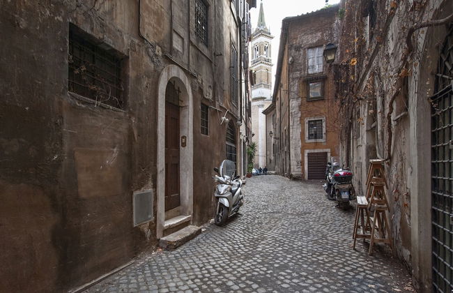 Volpe grande - Foto 27