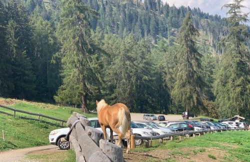 residence bungalow-Marmore - Photo 13