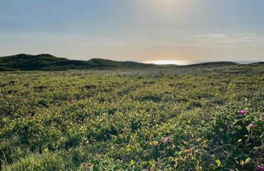 Schönes Sylt-Apartement "Waihüs" im ruhigen Alt-Westerland - Foto 30