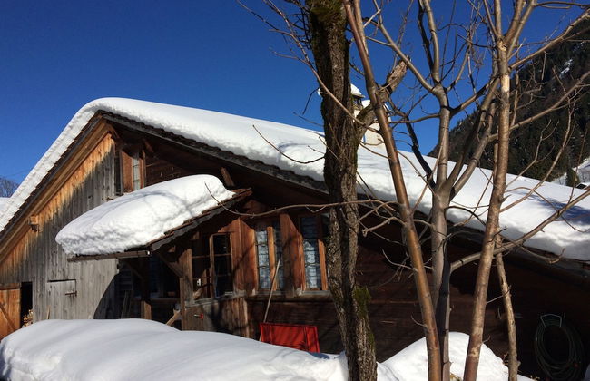 300 Year Old Chalet Interlaken - Foto 13