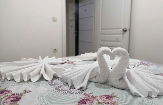 Aydogdu Suit - Photo 15