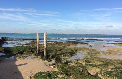 Fort View- Totland - Photo 51