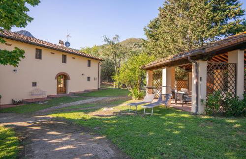 Villa in Tuscany with Pool and Olive Grove - Photo 14