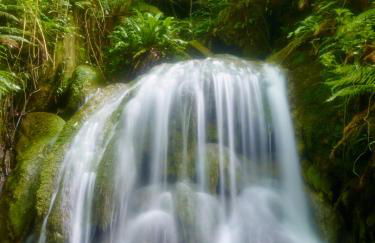 Apartamentos Fonda Finet - Foto 17