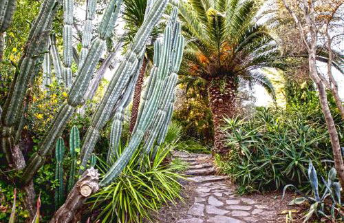 Etna Botanic Garden - Foto 34