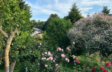 Mr. Sowa Sokolec - Foto 51