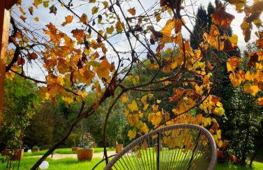 Holiday Home Forest INN - Foto 61