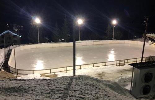 Charmant studio cabine COCOON à 100 m des pistes - Photo 28