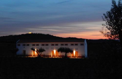 Quinta das Ratoeiras - Foto 42