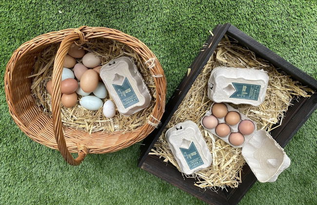 Swift Vogue Edition Caravan - Photo 11