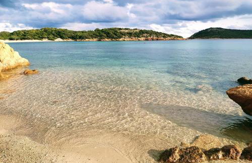 Résidence Les Terrasses de Rondinara - Foto 74