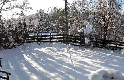 Akacja Apartament - Foto 11