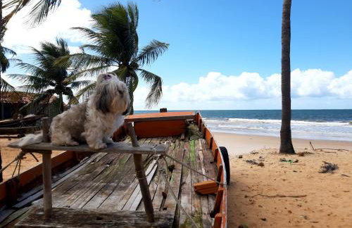 Casa beira mar com piscina Coruripe Povoado Miai de cima - Foto 53
